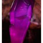 x_ids907311_e