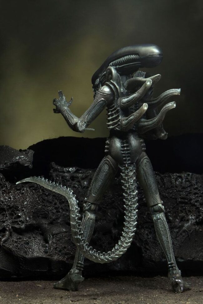 x_neca51709_b