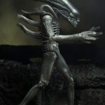 x_neca51709_d