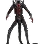 x_neca51698_r