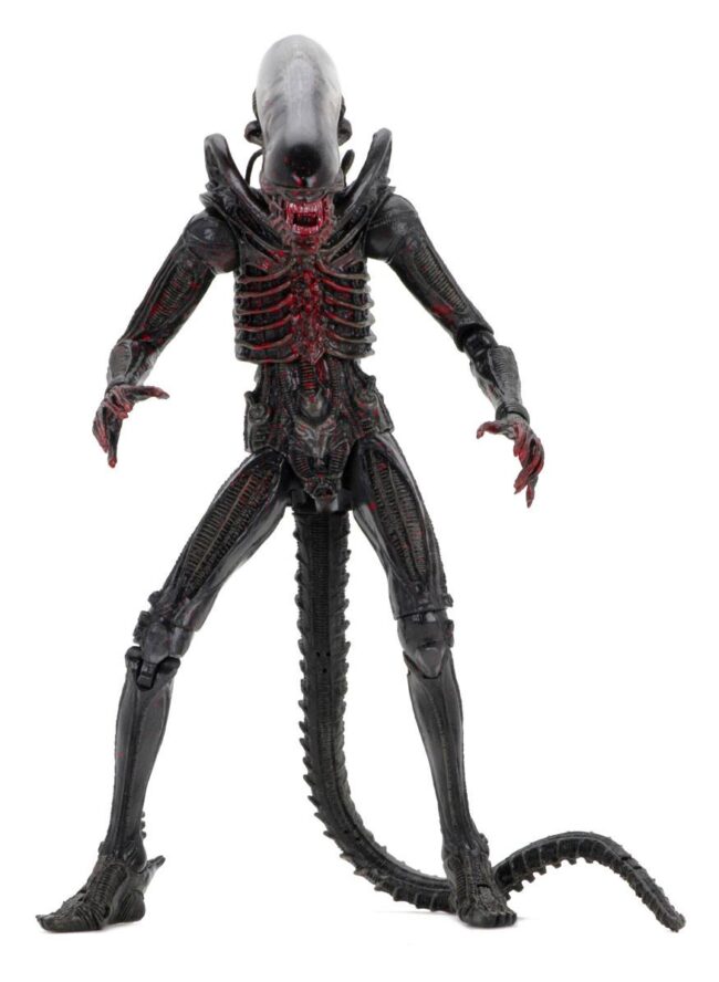 x_neca51698_r