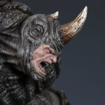 Rhino-12
