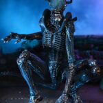 x_neca51717_e