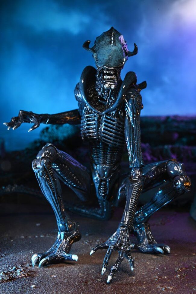 x_neca51717_e