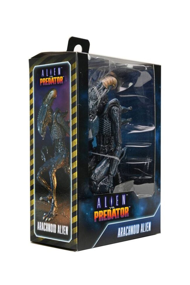 x_neca51717_k