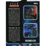 x_neca51717_l