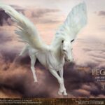 x_stacsa9047_e