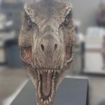 x_ecc-jp-t-rex-head_d