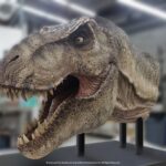 x_ecc-jp-t-rex-head_f