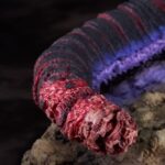 x_gsc20127_j
