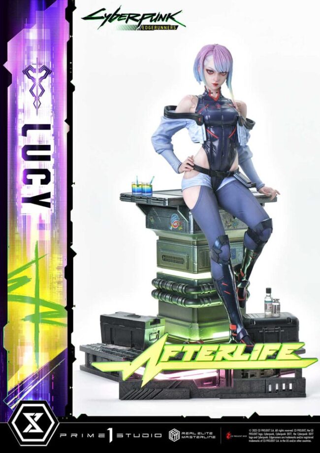 x_p1sremcp-01dx_p