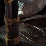 x_ecc-18770_o