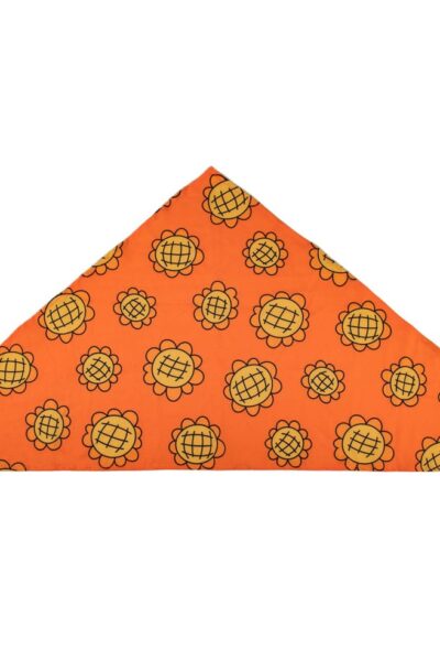 Cinereplicas: One Piece Bandana & Berry Coins Set Nami