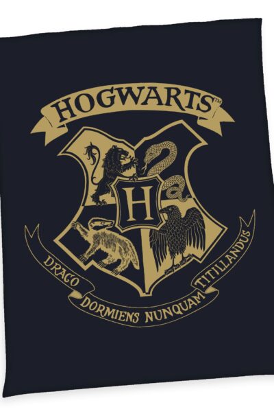 Herding: Harry Potter Fleecedecke Hogwarts 150 x 200 cm