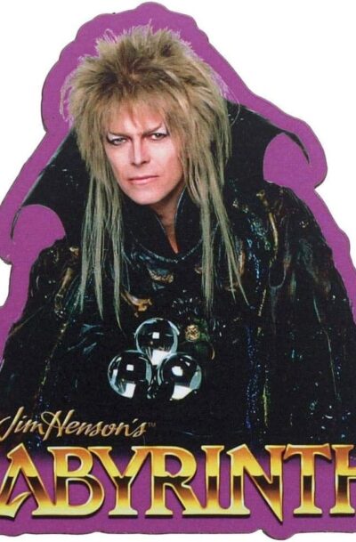 Labyrinth: Jareth Funky Chunky Magnet