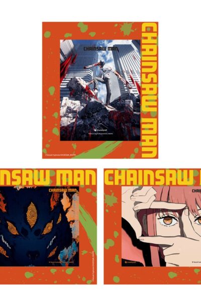 Sakami Merchandise: Chainsaw Man 3D-Effekt Karten im Rahmen 3er Set 17 x 13 cm
