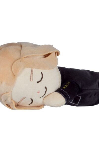 Tomy: Tokyo Revengers Mocchi-Mocchi Plüschfigur Manjiro Sano Sleeping 20 cm
