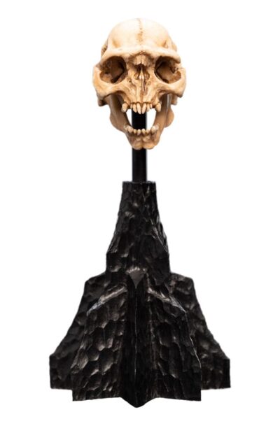 Weta Workshop: Herr der Ringe Mini Statue Skull of a Moria Orc 13 cm