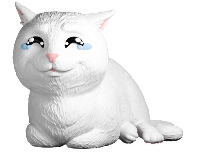 main_YOTOCRYINGCAT.jpg