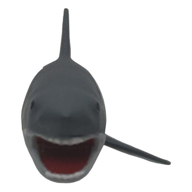 x_FACE408425_2.jpg
