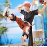 x_SEGA43254_3.jpg