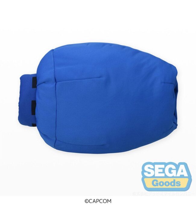 x_SEGA44007_2.jpg