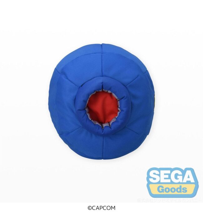 x_SEGA44007_3.jpg