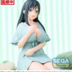x_SEGA44167_4.jpg