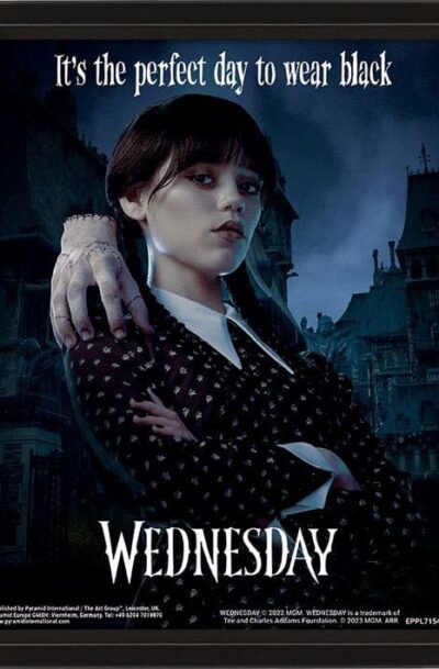 Pyramid International: Wednesday 3D-Effekt Poster im Rahmen Perfect Day 26 x 20 cm
