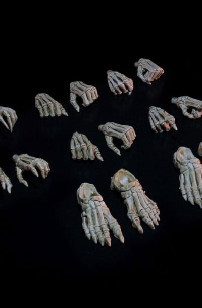 Mythic Legions: Necronominus Zubehör-Set für Actionfiguren Skeletons of Necronominus Hands/Feet Pack