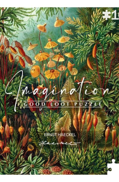 Good Loot: Ernst Haeckel Imagination Puzzle Muscinae (1000 Teile)