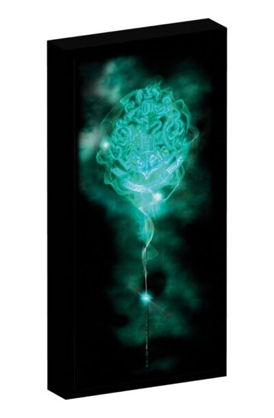 Joy Toy (IT): Harry Potter Canvas Poster (With Light)