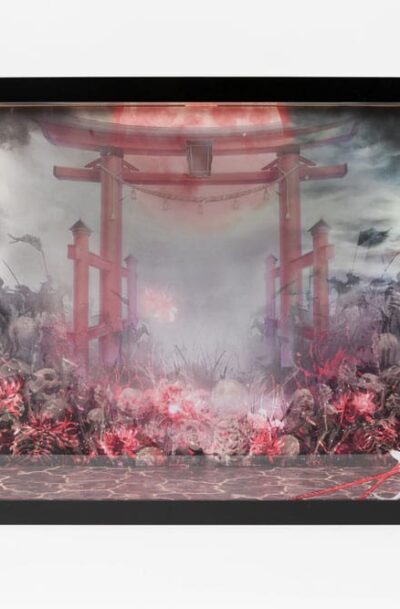 SHINSAI: SHINSAI Acryl Display Case mit Beleuchtung Inbina Rasethuhime Saki 39 cm