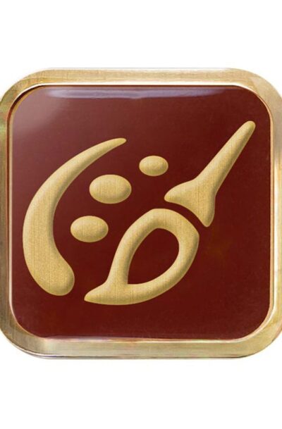 Square-Enix: Final Fantasy XIV Job-Pin Pictomancer