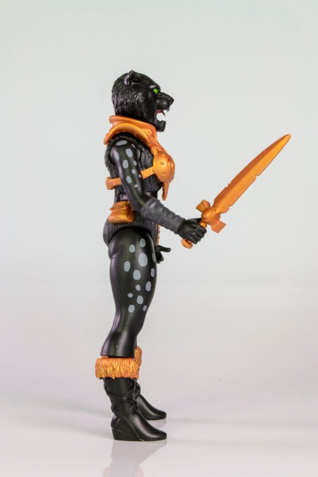 x_FORM5050_2-1.jpg