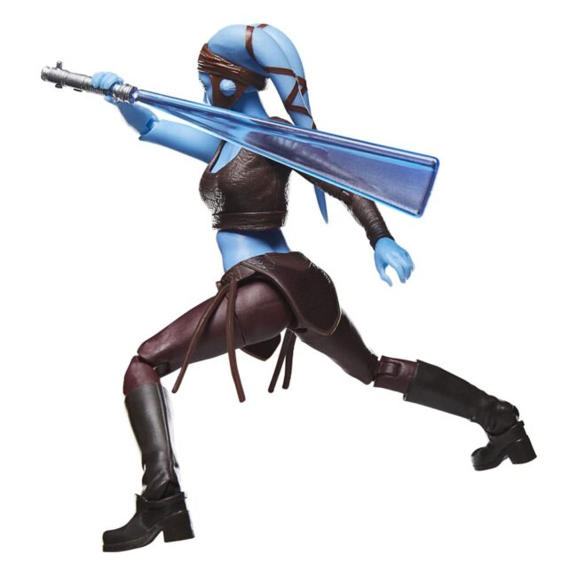 x_HASG1314_5.jpg