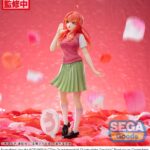 x_SEGA44375_5.jpg