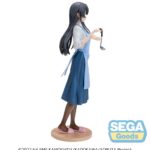 x_SEGA44379_3-1.jpg