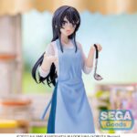 x_SEGA44379_3.jpg