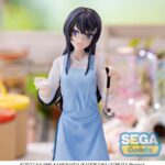 x_SEGA44379_5.jpg