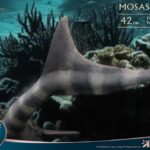 x_STASA5042_2-1.jpg