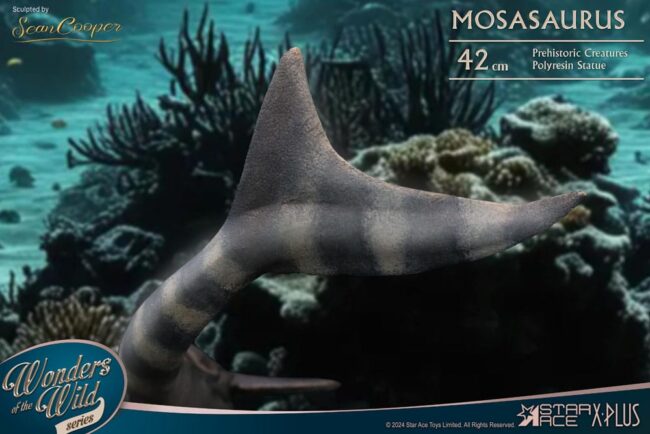 x_STASA5042_2-1.jpg