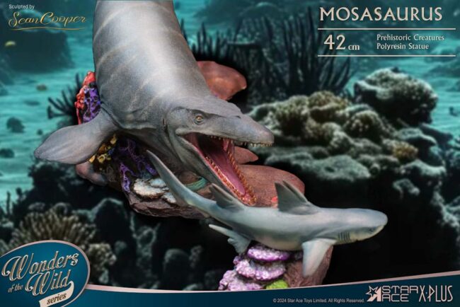 x_STASA5042_2.jpg