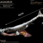 x_STASA5042_5.jpg