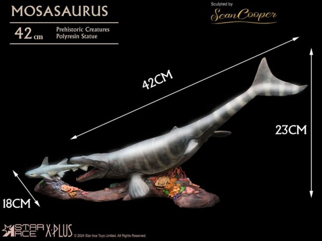 x_STASA5042_5.jpg