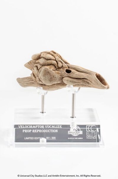 ECC: Jurassic Park III "Velociraptor Resonance Chamber" 1/1 Replik (Q1/2026)