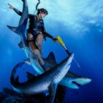 x_weta890104602_g