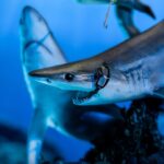 x_weta890104602_i