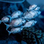 x_weta890104602_j