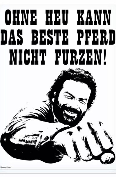 Blechwaren Fabrik Braunschweig: Bud Spencer Blechschild Pferd Faust 30 x 40 cm